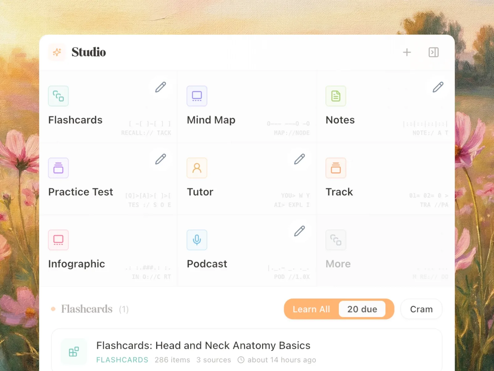 Flashcards